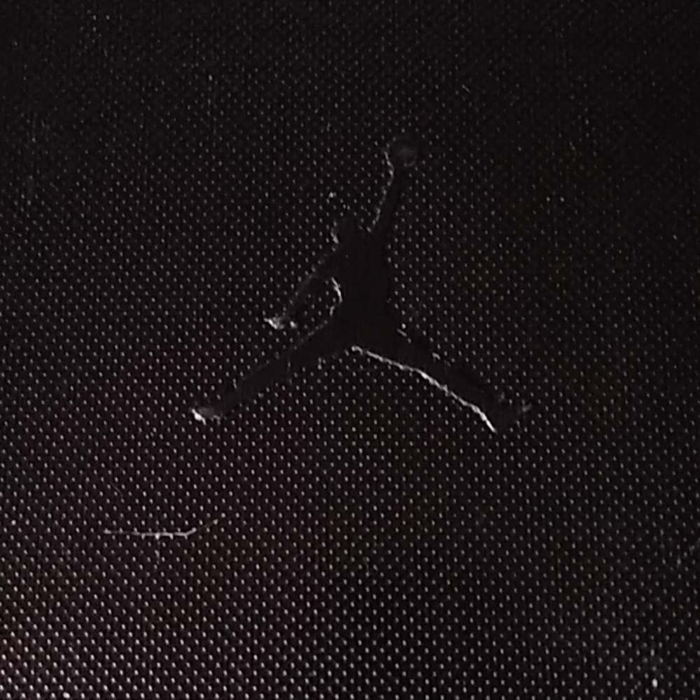 Jordan shoe carry case